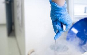 Yumurta Donasyonu Bir Dayanışma Hareketi